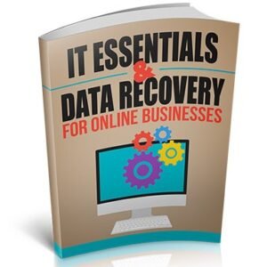 Fundamentos de TI e recuperação de dados para empresas on-line